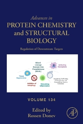 Regulation of Downstream Targets - 