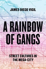 A Rainbow of Gangs - Vigil, James Diego