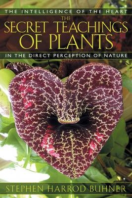 Secret Teachings of Plants -  Stephen Harrod Buhner