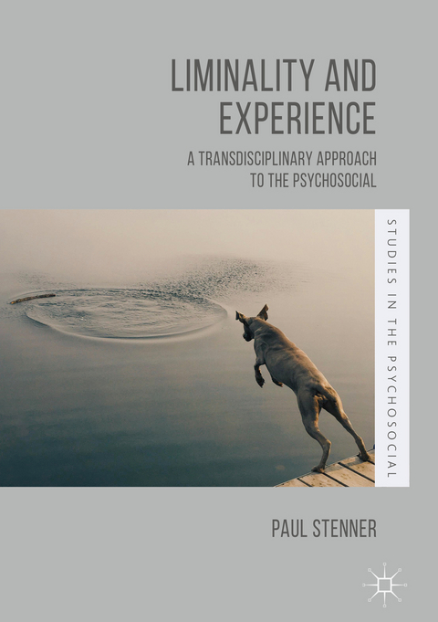 Liminality and Experience -  Paul Stenner