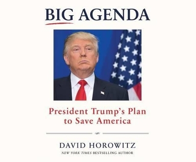 Big Agenda - David Horowitz