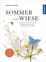 Sommerwiese - Daniela Strauß