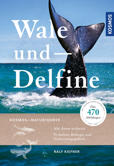 Wale und Delfine - Ralf Kiefner