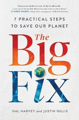 The Big Fix - Hal Harvey, Justin Gillis