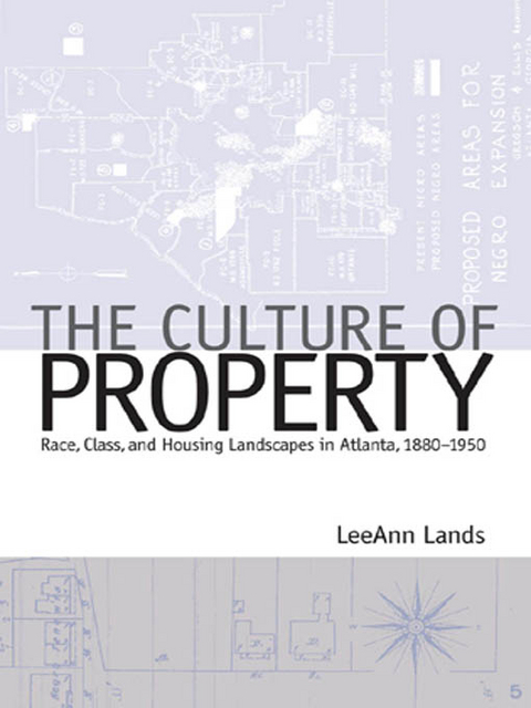 The Culture of Property - LeeAnn B. Lands