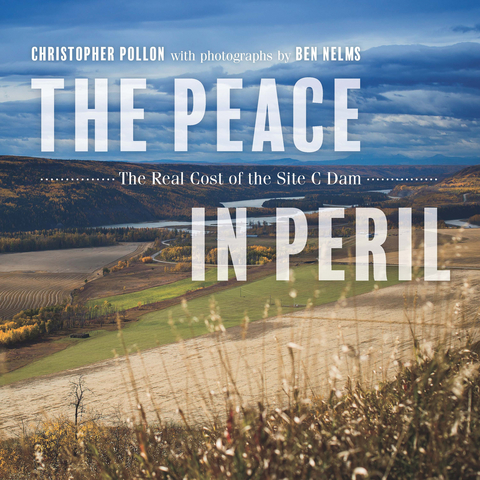 Peace in Peril -  Christopher Pollon