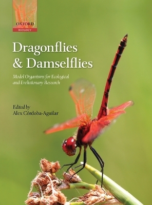 Dragonflies and Damselflies - 