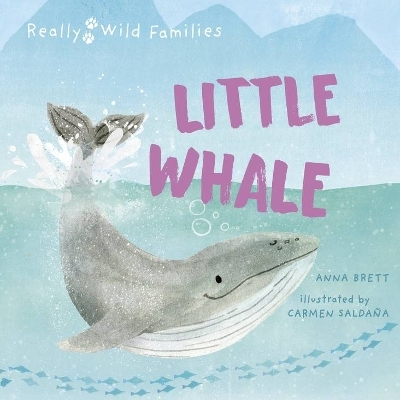 Little Whale - Anna Brett