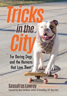 Tricks in the City - Sassafras Lowrey