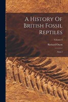 A History Of British Fossil Reptiles - Richard Owen