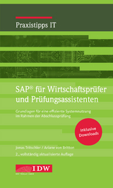 SAP für Wirtschaftsprüfer und Prüfungsassistenten - Tritschler, Jonas; Britton, Ariane von