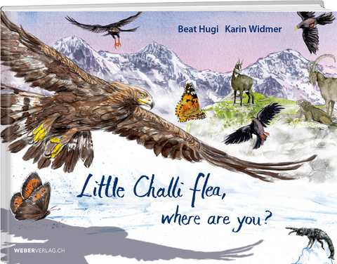 Little Challi flea, where are you? - Beat Hugi