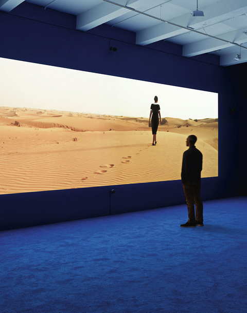 Isaac Julien - 