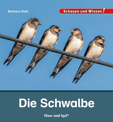 Die Schwalbe - Barbara Rath