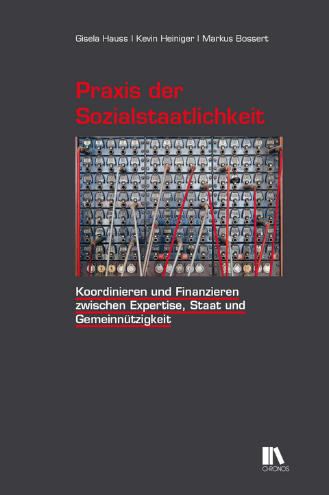 Praxis der Sozialstaatlichkeit - Gisela Hauss, Kevin Heiniger, Markus Bossert