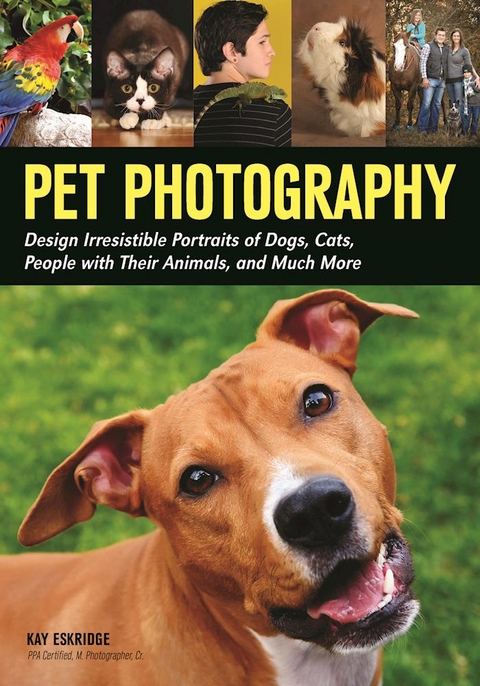 Pet Photography - 