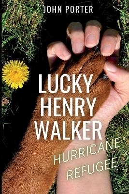 Lucky Henry Walker - John Porter