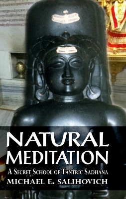 Natural Meditation - Michael E Salihovich