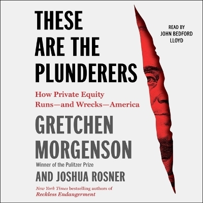These Are the Plunderers - Joshua Rosner, Gretchen Morgenson