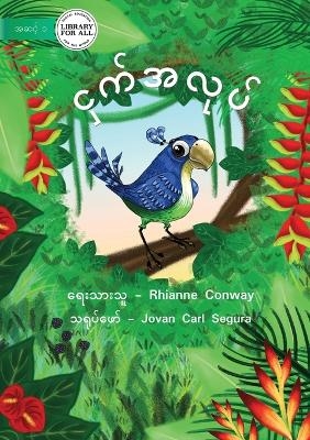 Bird's Things - &#4100;&#4158;&#4096;&#4154;&#4129;&#4124;&#4143;&#4117;&#4154; - Rhianne Conway