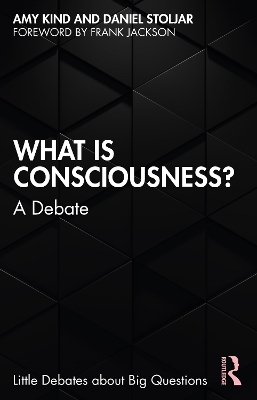 What is Consciousness? - Amy Kind, Daniel Stoljar