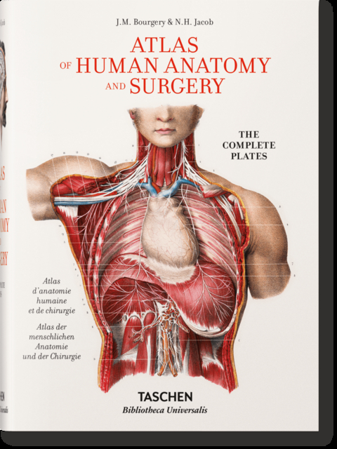 Bourgery. Atlas de anatomía humana y cirugía - Henri Sick, Jean-Marie Le Minor