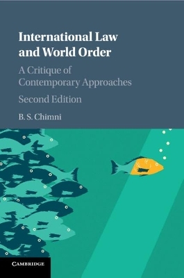 International Law and World Order - B. S. Chimni