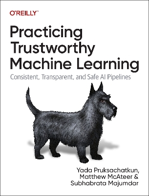 Practicing Trustworthy Machine Learning - Yada Pruksachatkun, Matthew Mcateer, Subhabrata Majumdar