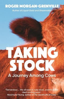 Taking Stock - Roger Morgan-Grenville