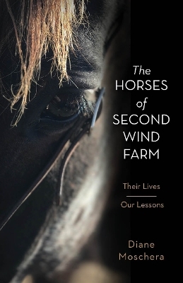 The Horses of Second Wind Farm - Diane Moschera