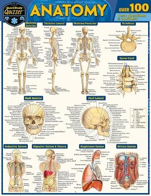 Anatomy Quizzer - Vincent Perez