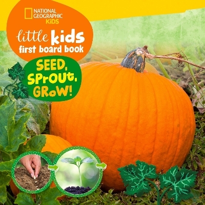 Little Kids First Board Book Seed, Sprout, Grow! - Ruth A. Musgrave