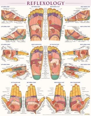 Reflexology-Laminated - Vincent Perez