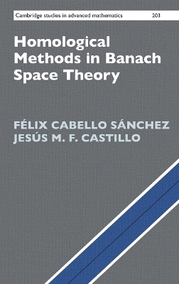 Homological Methods in Banach Space Theory - Félix Cabello Sánchez, Jesús M. F. Castillo