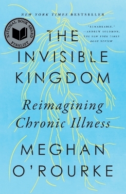 The Invisible Kingdom - Meghan O'Rourke