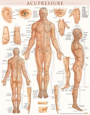 Acupressure-Laminated - Vincent Perez