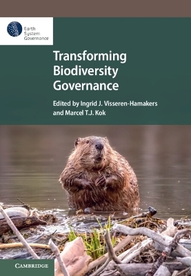 Transforming Biodiversity Governance - 