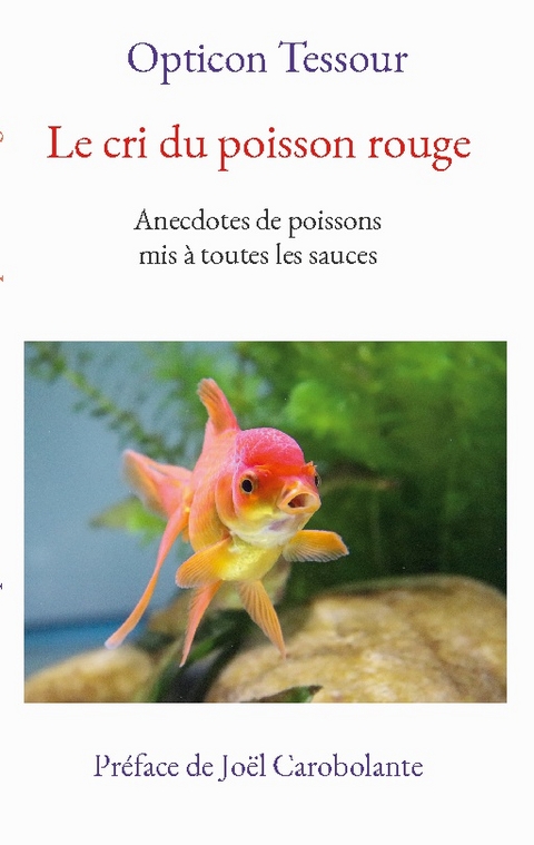 Le cri du poisson rouge - Opticon Tessour