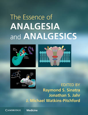 Essence of Analgesia and Analgesics - 