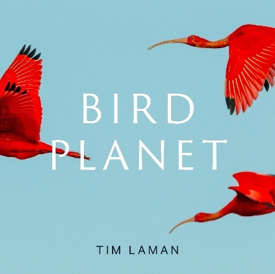 Bird Planet - Tim Laman