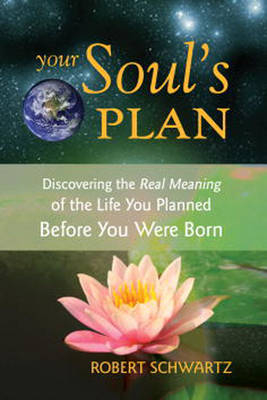 Your Soul's Plan -  Robert Schwartz