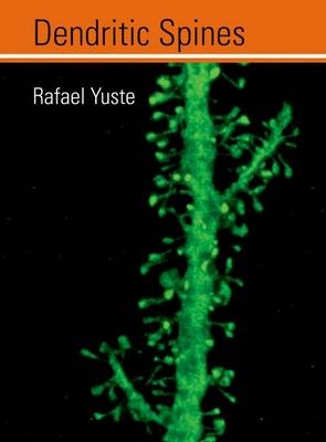 Dendritic Spines -  Rafael Yuste