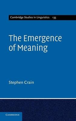 Emergence of Meaning -  Stephen Crain