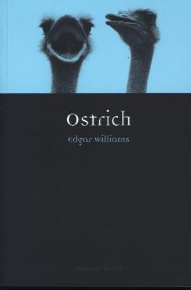 Ostrich -  Williams Edgar Williams