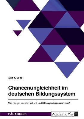 Chancenungleichheit im deutschen Bildungssystem. Wie hÃ¤ngen soziale Herkunft und Bildungserfolg zusammen? - Elif GÃ¼rer