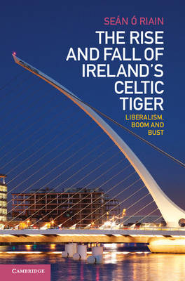 Rise and Fall of Ireland's Celtic Tiger -  Sean O Riain
