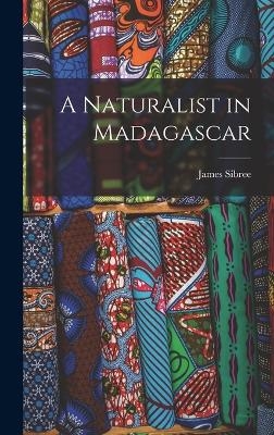 A Naturalist in Madagascar - James Sibree