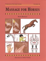 MASSAGE FOR HORSES - Mary Bromley