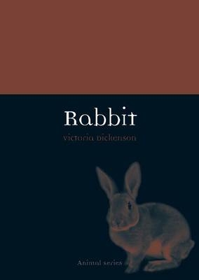 Rabbit -  Victoria Dickenson
