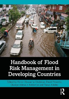 Handbook of Flood Risk Management in Developing Countries - 